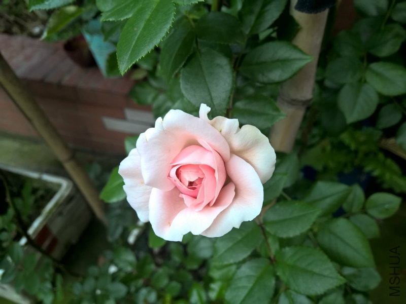 WP_20160525_17_47_48_Pro_LI.jpg