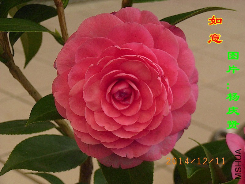 ���� 212405v0t5t22kllxzgggd_����.jpg