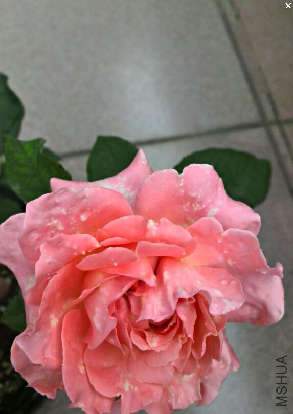 QQ��ͼ20160526213313.jpg