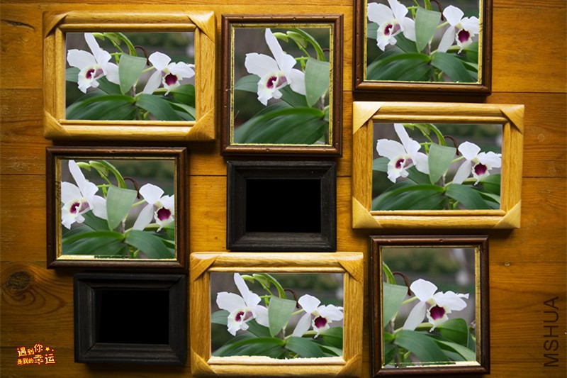 ��Ƭ 068_����_����.jpg