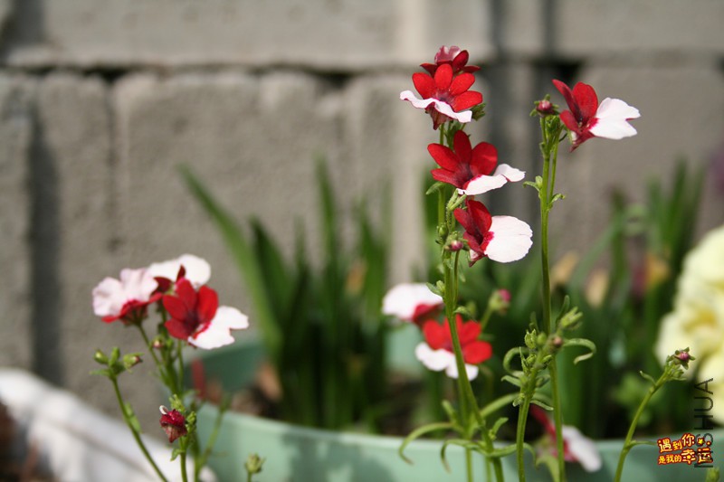 ��Ƭ 017_����.jpg