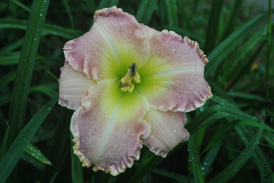 F1-779����ʵ� (9).jpg