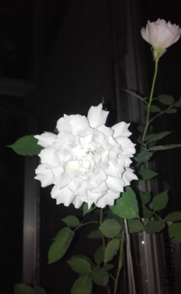 �����  �����ĵ���ɫ�е�ʧ��  ��ʵ���Ǵ���ɫ