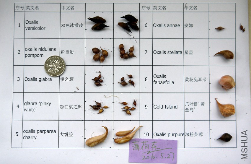 1-P1080235.JPG