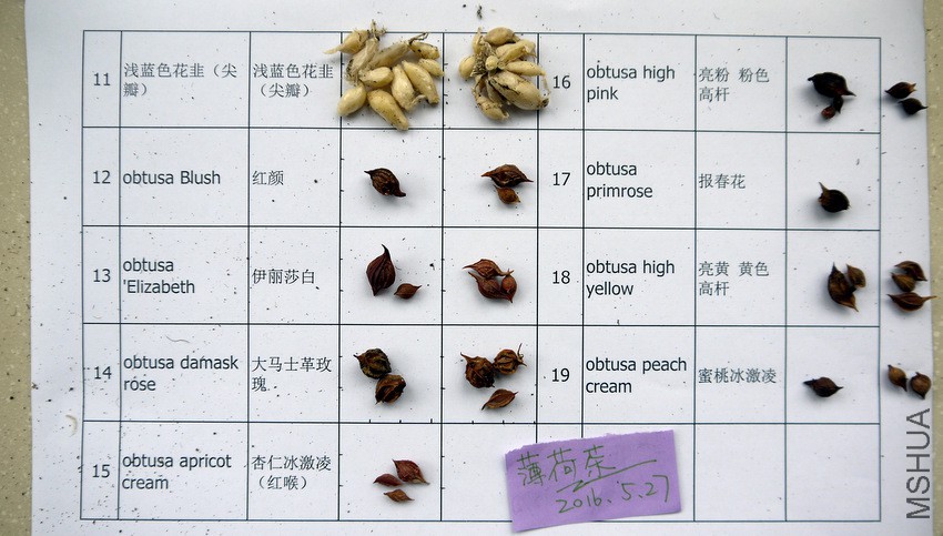 1-P1080236.JPG