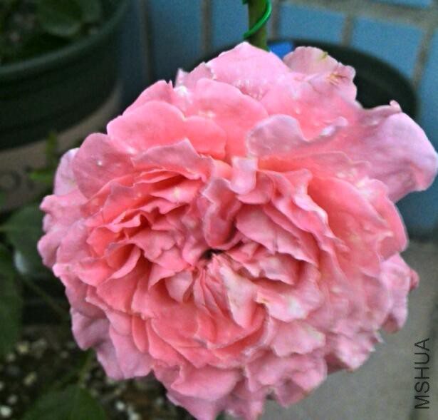 QQ��ͼ20160527203008.jpg