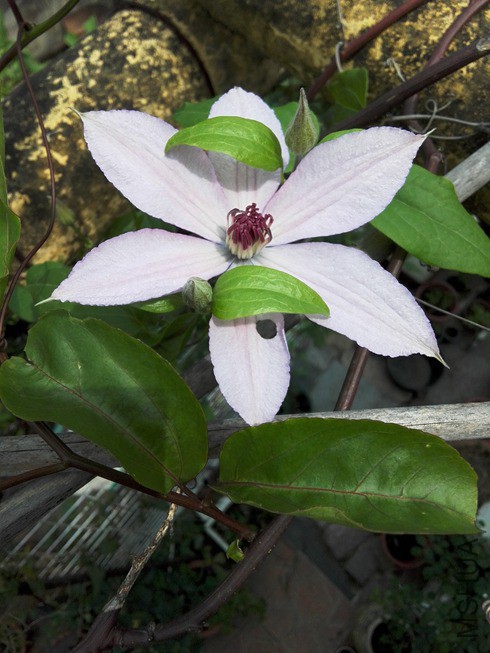 ͼƬ09.jpg