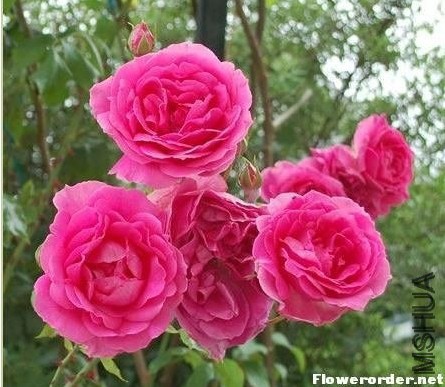 ����  ��