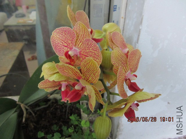 IMG_6355.JPG