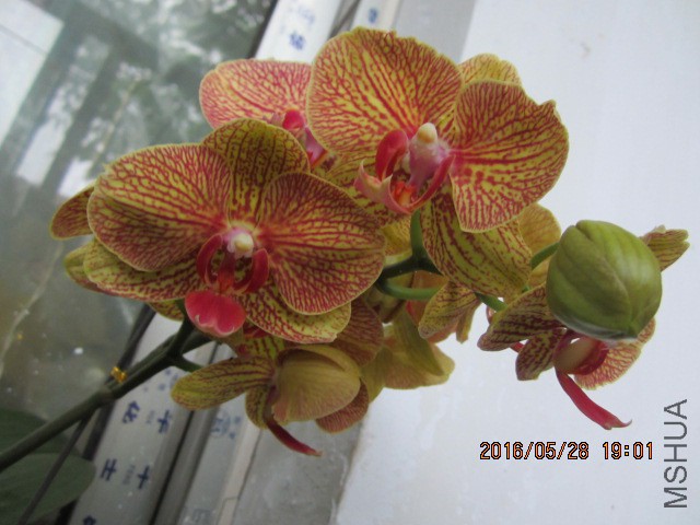 IMG_6356.JPG