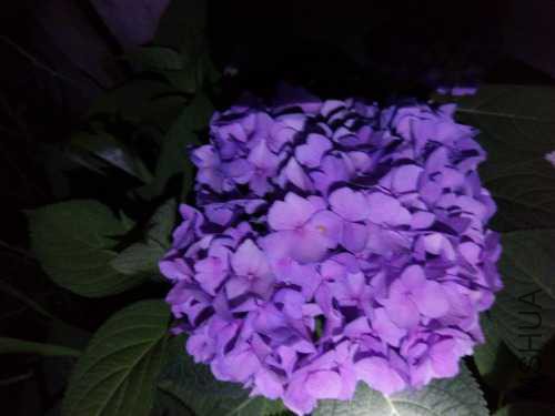 IMG_20160527_210330.jpg