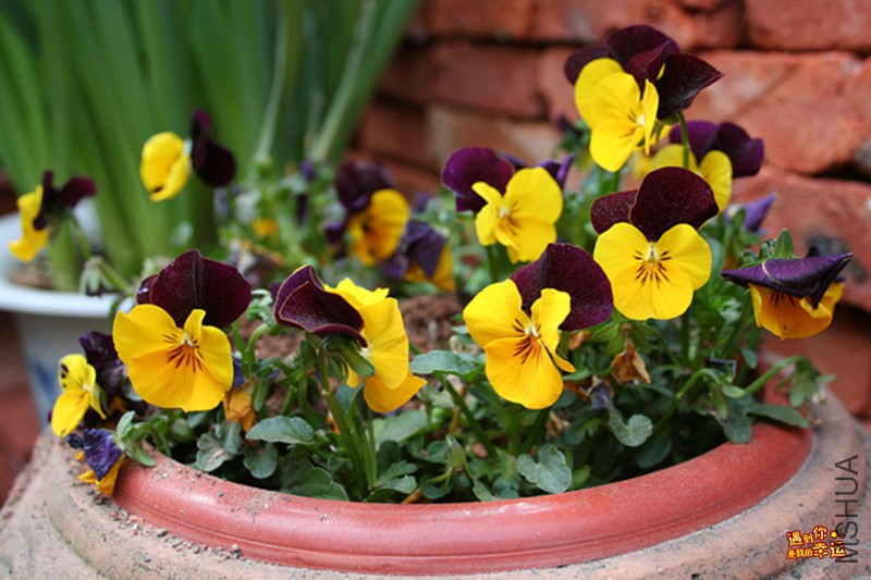 ��Ƭ 034_����.jpg