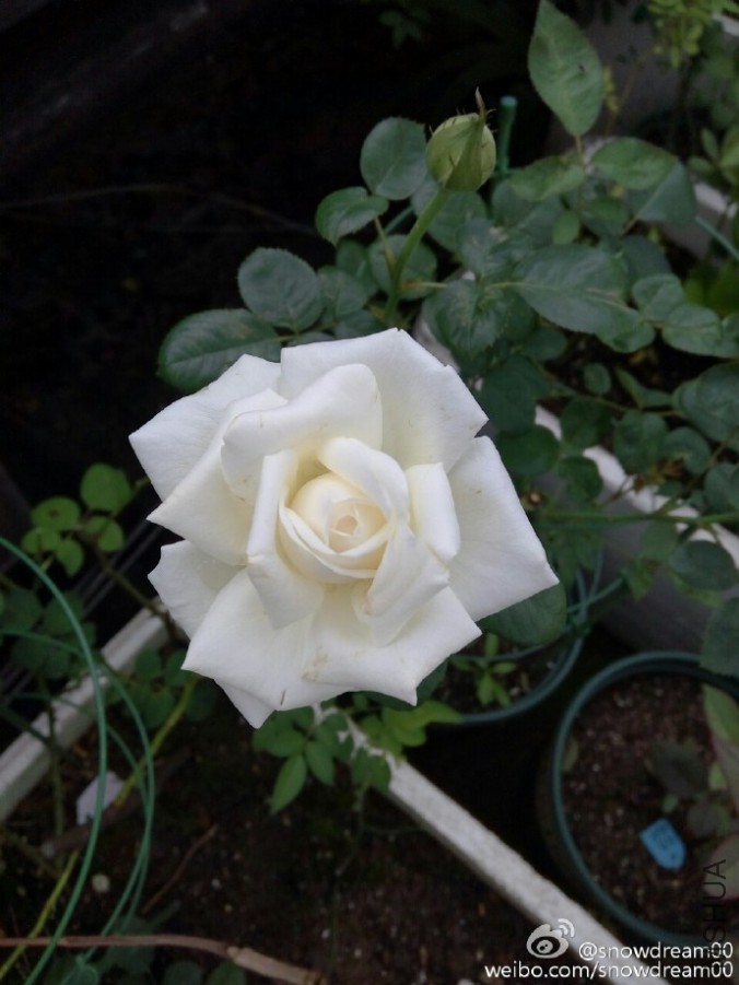 6a33de8fgw1f4cb8qwm67j20qo0zkwj6.jpg
