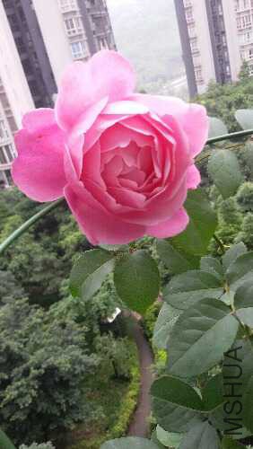 20160528_100747.jpg