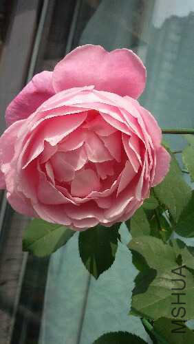 20160529_104900.jpg
