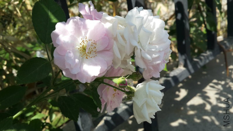 20160510_143910.jpg