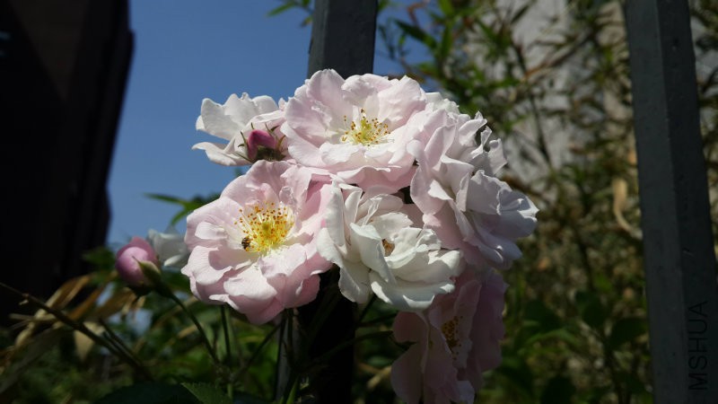 20160510_143900.jpg
