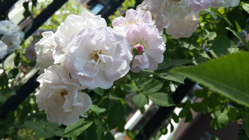 20160510_144022.jpg