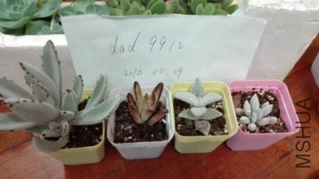 �����ײ�2������+�ɿ�����+����+���£�