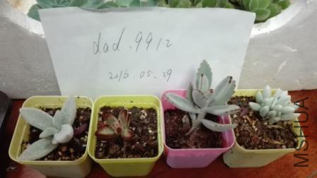�����ײ�1������+�ɿ�����+����+���£�