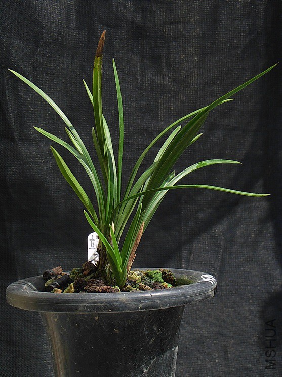 1-�����.jpg