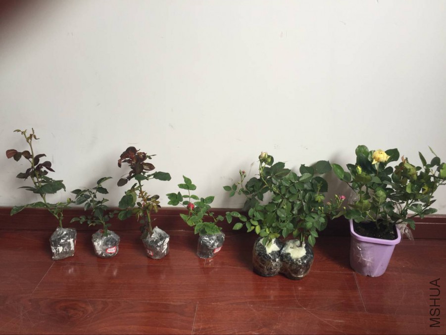 QQͼƬ20160530124617.jpg