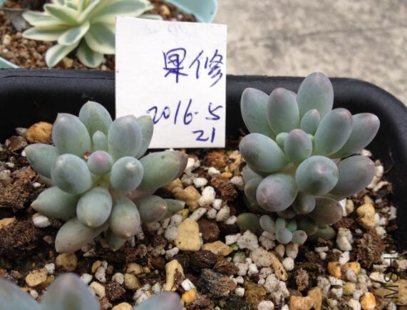 QQͼƬ20160521115618.jpg