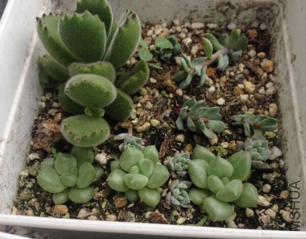 QQͼƬ20160507191650.jpg