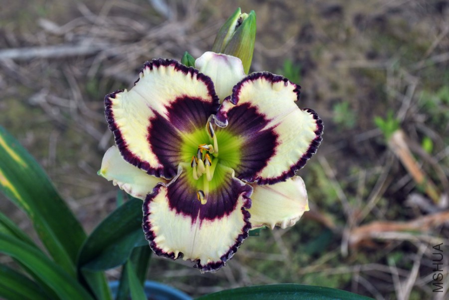 F1��922���񱦱� (4).jpg