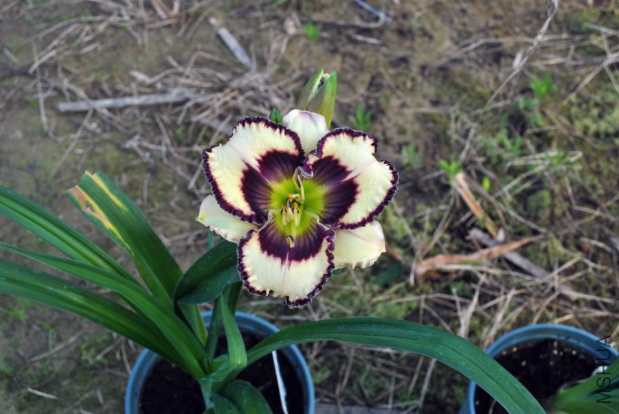 F1��922���񱦱� (3).jpg