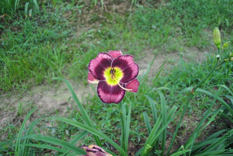 F1��931ħ���ʵ� (2).jpg