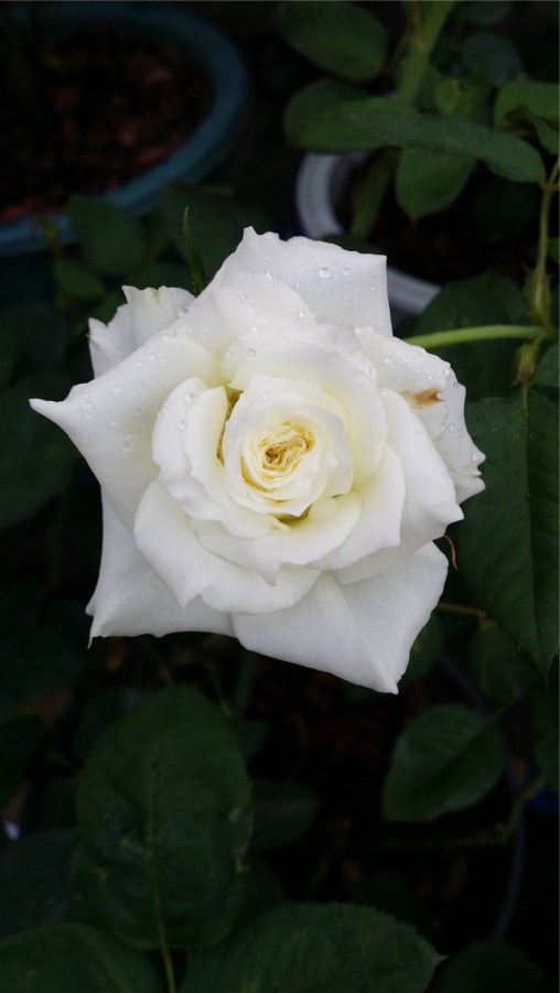 20150601̹���.jpg