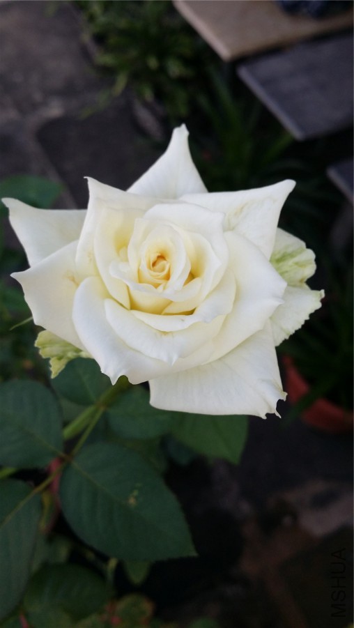 20150603̹���.jpg