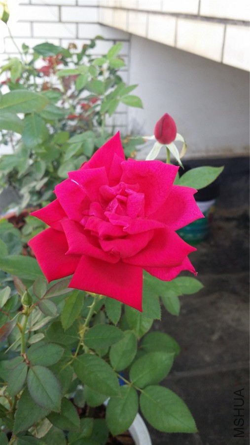 20150603����Ũ����.jpg