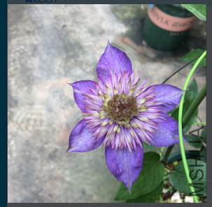 QQ��ͼ20160702170454.png
