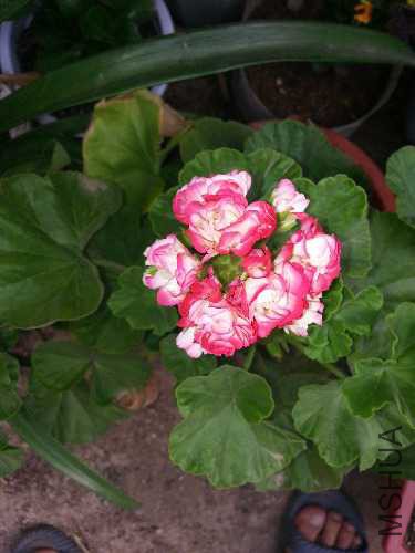 20160531_165255.jpg