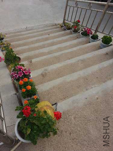 20160531_164530.jpg