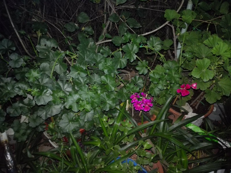 6.1�����ĵ�