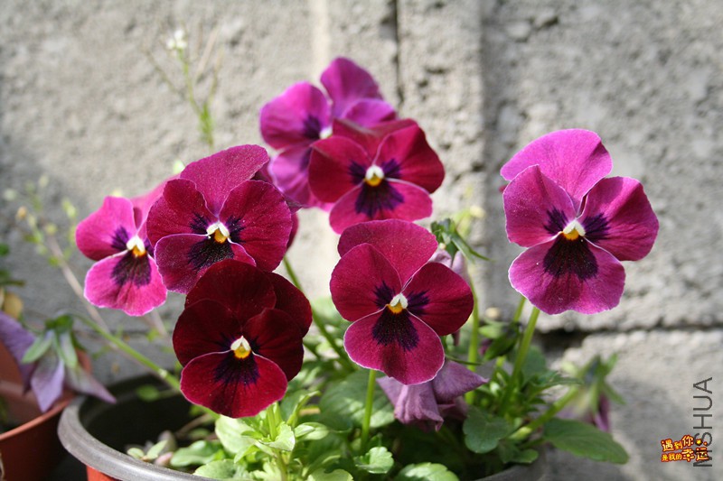 ��Ƭ 028_����.jpg