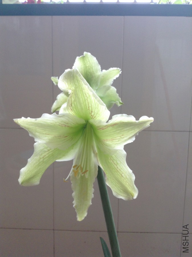 ��Ƭ 096.jpg