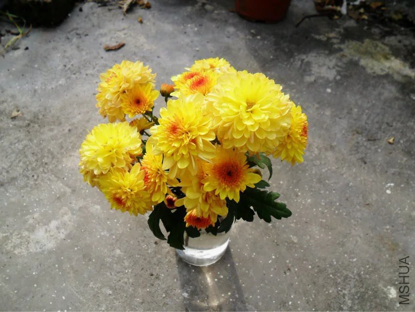 psb (4).jpg