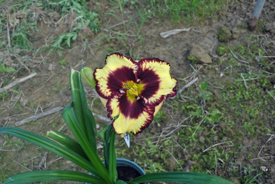 F1��1004������ (7).jpg