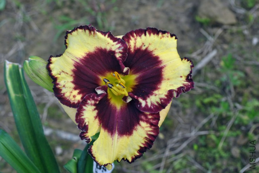 F1��1004������ (8).jpg