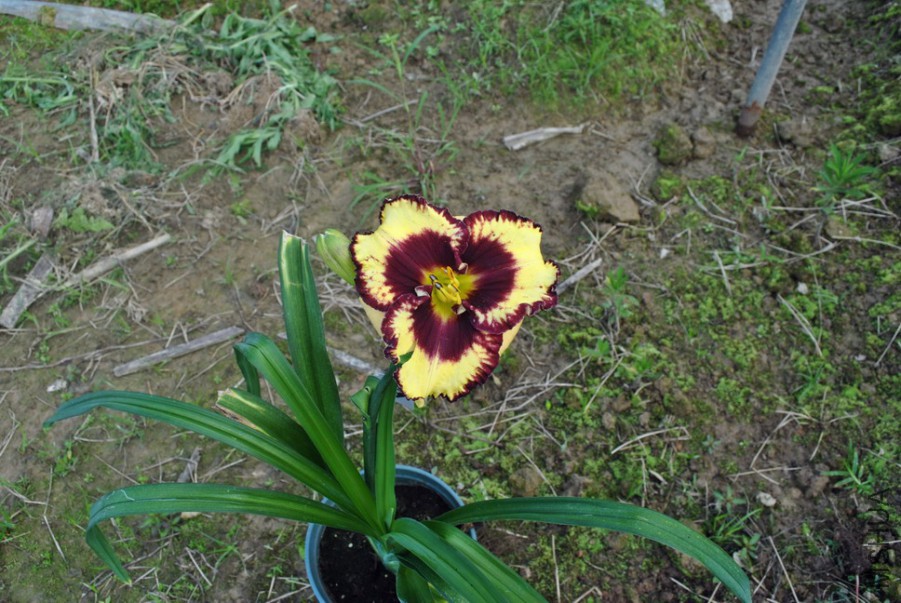 F1��1004������ (5).jpg