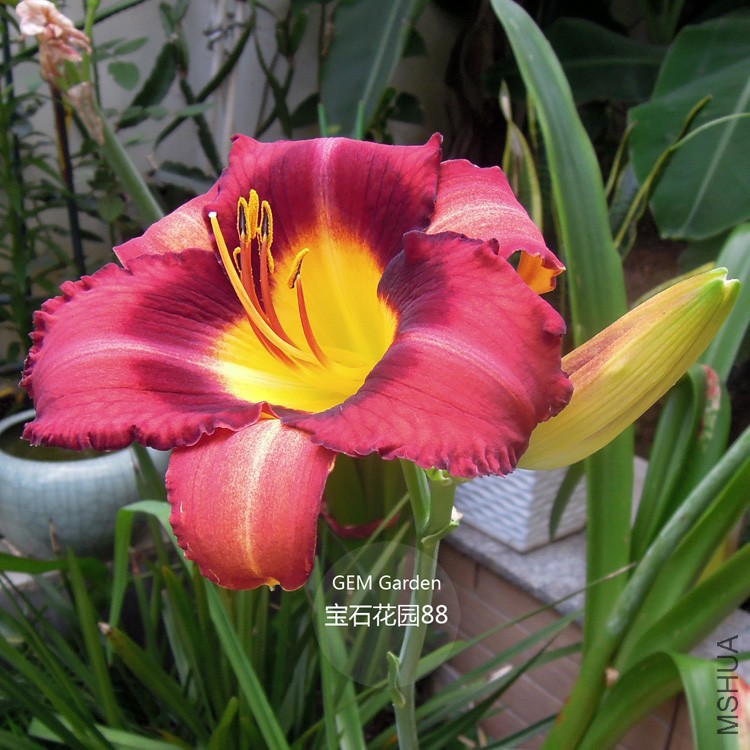 DSCN8343.JPG