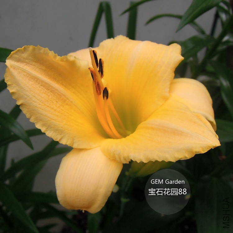 DSCN8465.JPG