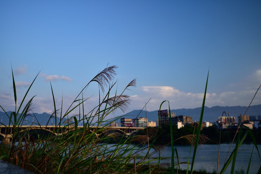 dsc_0943.jpg