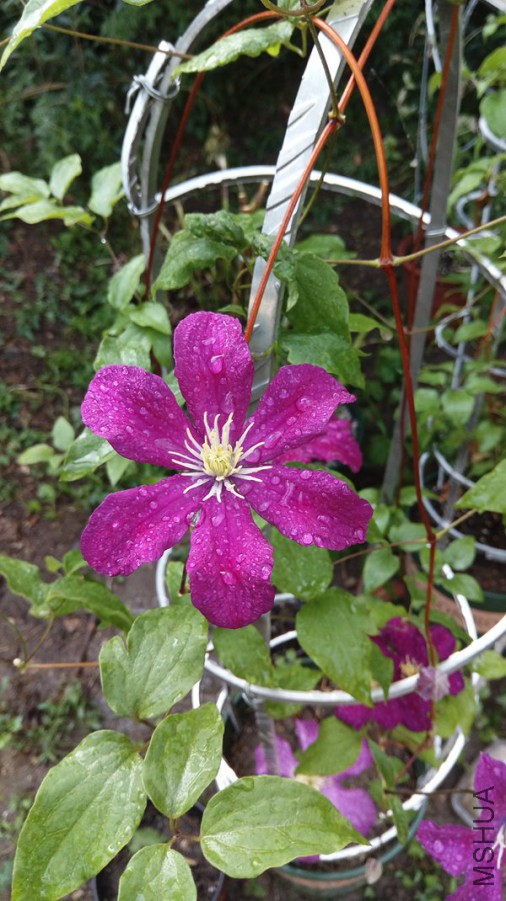 IMAG0547.jpg