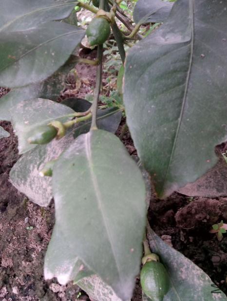360��ͼ20160604195520595.jpg