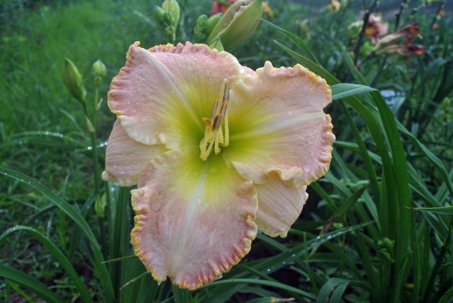 F1��1022������ (3).jpg